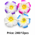 PACK OF 12 BUTTERFLY CLIP