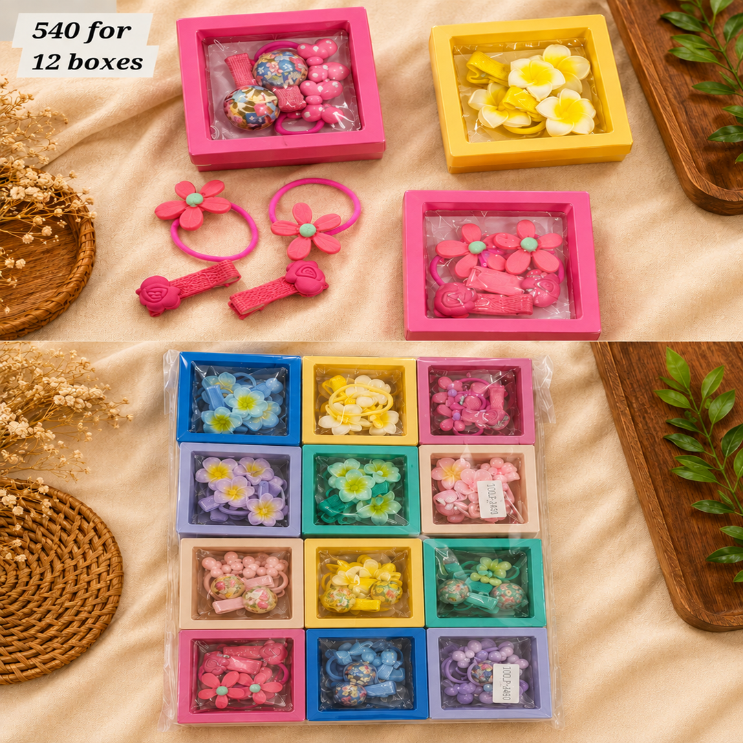 Premium Hair Clip & Rubber Band Set – 12 Boxes | 1 Pair Hair Clips + 1 Pair Hair Rubber Bands in Each Box | Wholesale Price ₹540 per Dozen
