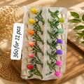 Tulip Flower Hair Clutcher Pack of 12 Pcs – Premium Transparent Korean Hair Claw Clip | Wholesale Price ₹360 per Dozen